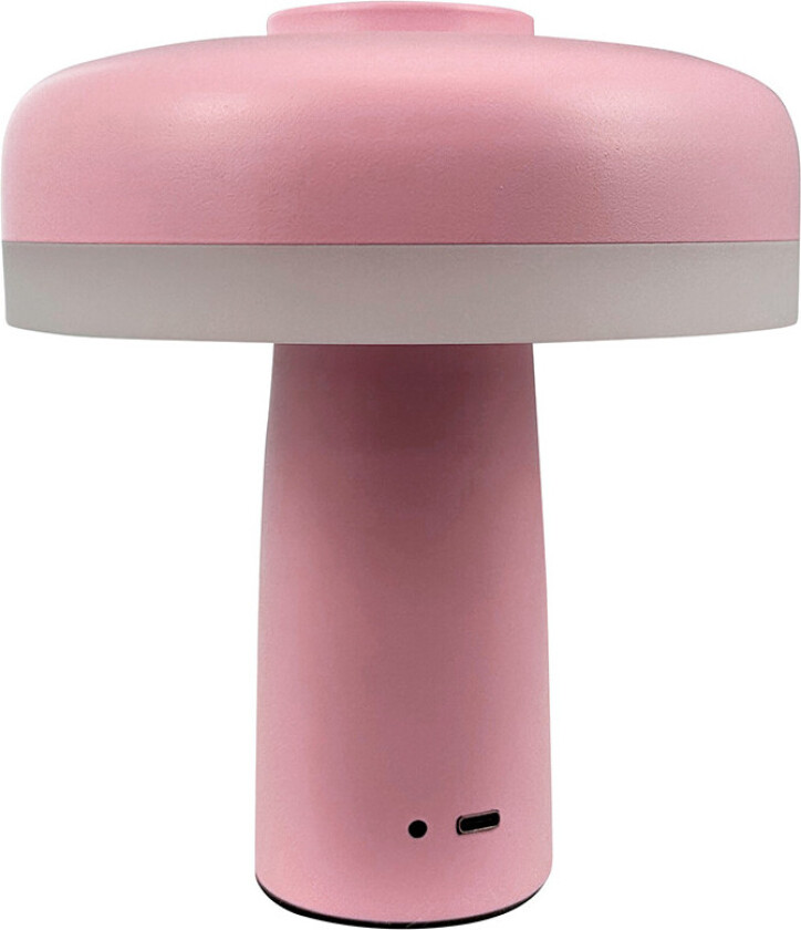 - Porter LED Portable Bordlampe Lys rosa