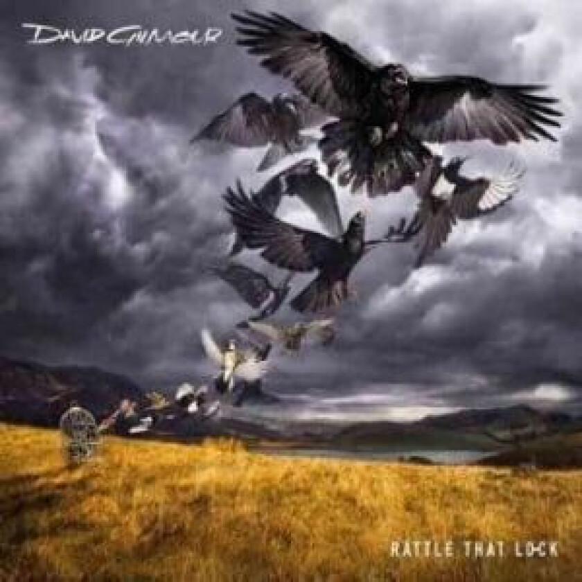 David Gilmour - Rattle That Lock (180 Gram)