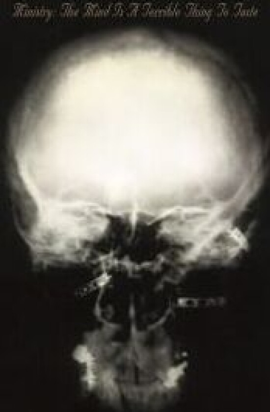 Ministry - Mind Is A Terrible Thing To Taste