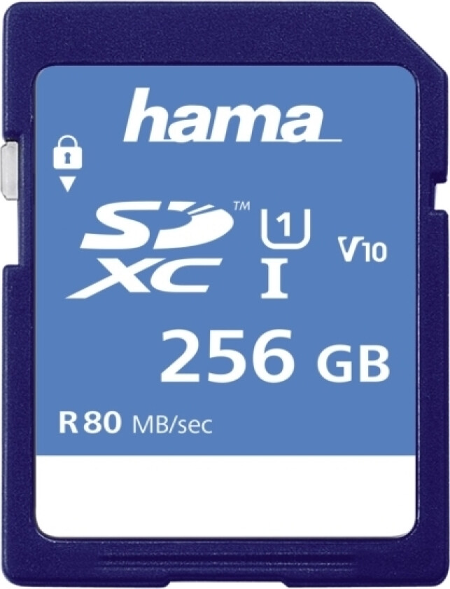00123997, 256 Gb, Sdxc, Klasse 10, Uhs-I, 80 Mb/S, Blå