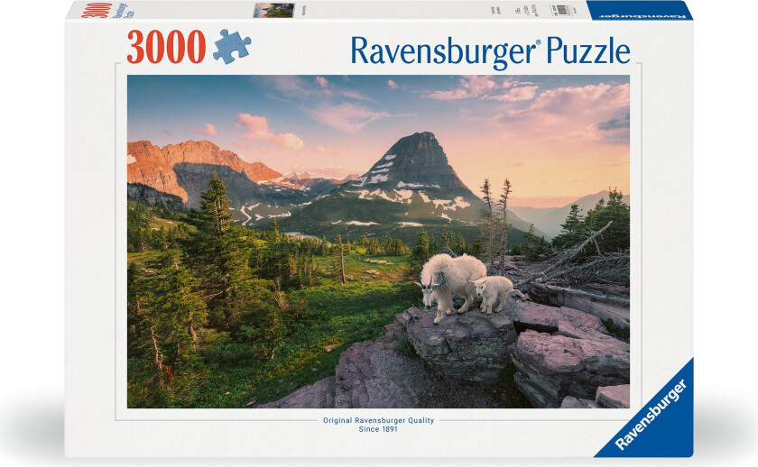 - Puzzle Foto City Landscape 3000p (12000809)