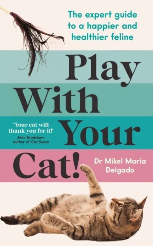 Play With Your Cat! av Mikel Delgado