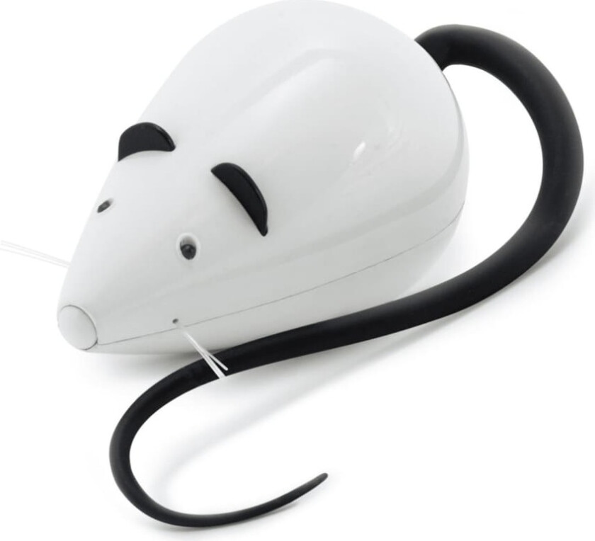 FroliCat RoloRat Katteleke