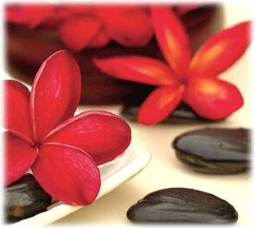 Recycled Mouse Pad Spa - Musematte