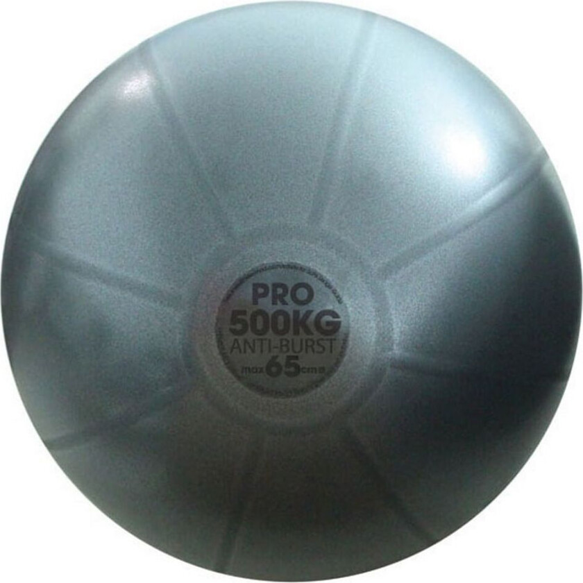 Studio Pro Swiss Ball