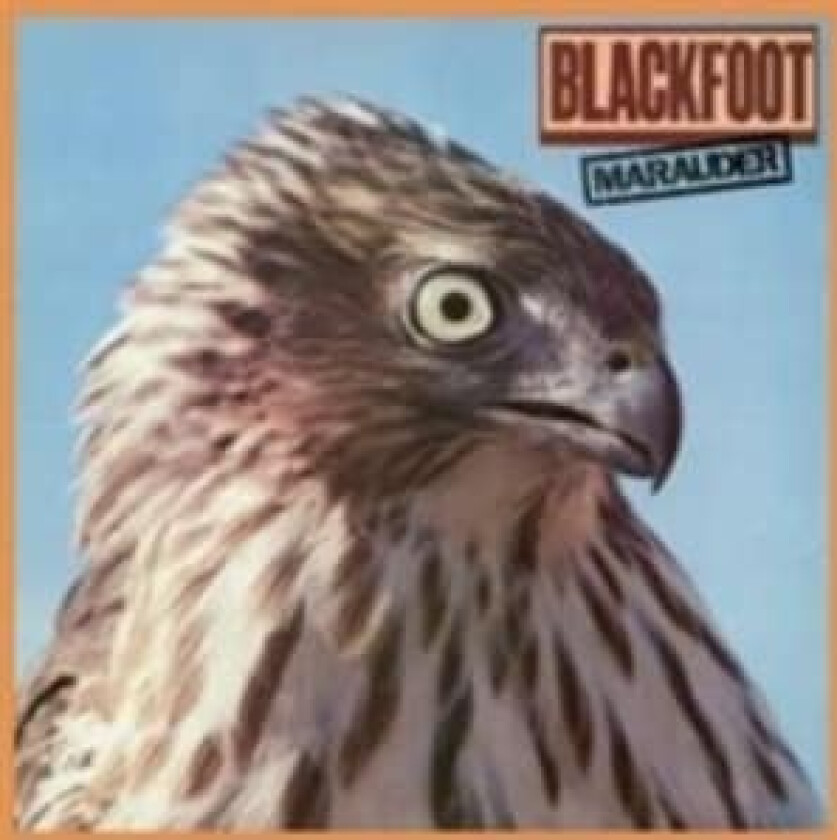 Blackfoot - Marauder
