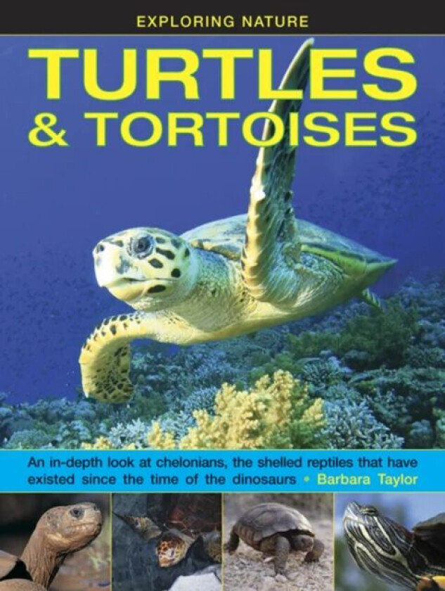 Exploring Nature: Turtles & Tortoises av Taylor Barbara