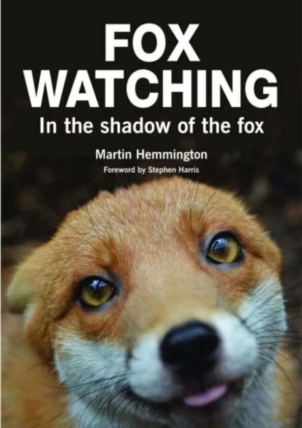 Fox Watching av Martin Hemmington