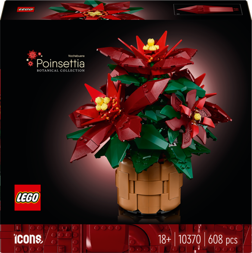 Botanicals Julestjerne 10370