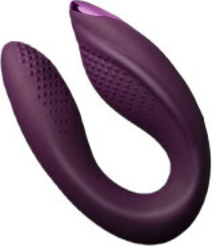 Rock-Chick Diva vibrator for couples Purple