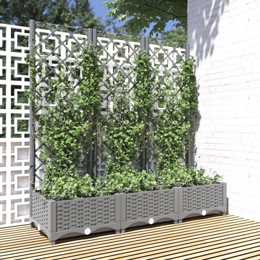 Bilde av Plantekasse med espalier lysegrå 120x40x121,5 cm PP