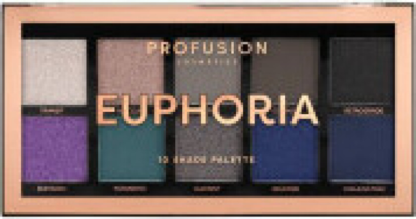 Euphoria Eyeshadow Palette - a palette of 10 eye shadows