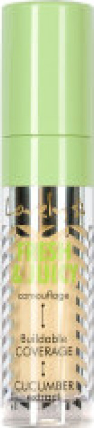 Fresh & Juicy Camouflage face concealer 1 4.5g