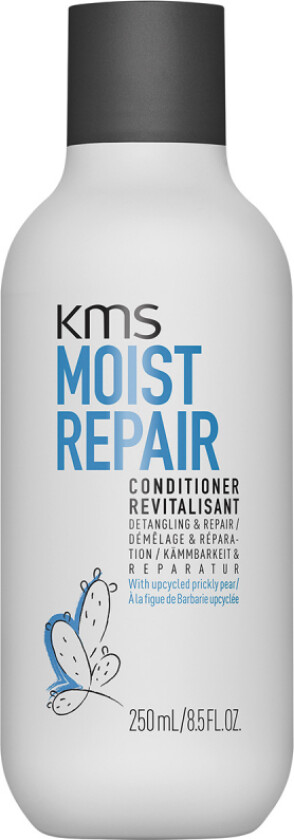 Moist Repair Conditioner (250 ml)