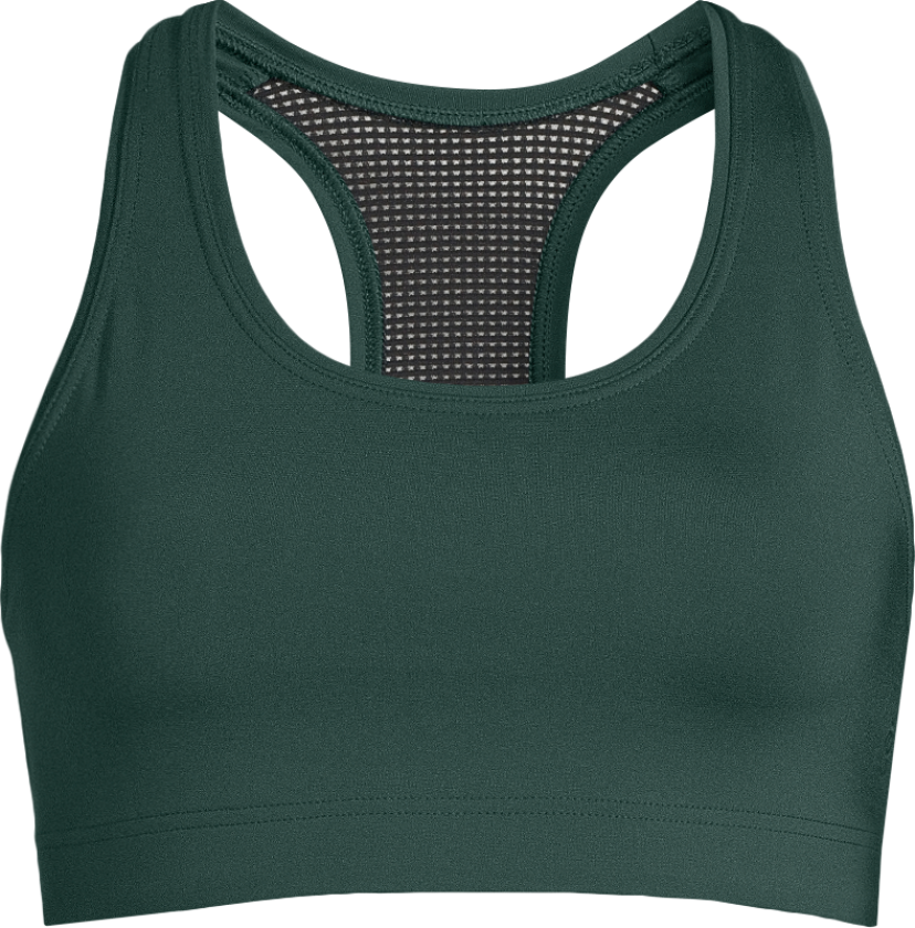 Women's Iconic Sports Bra Dark Pine A/B XL