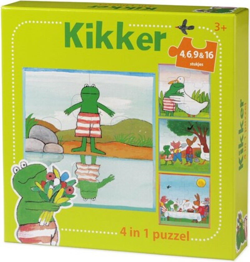 The world of Frog Puzzle 4in1 Gulv