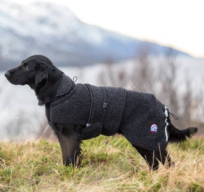 Ambassadør Ulldekken Hund - 2xs