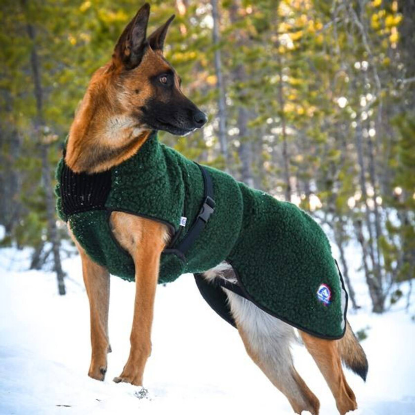 Selva 100% Ull Dekken Hund - S-M terrier