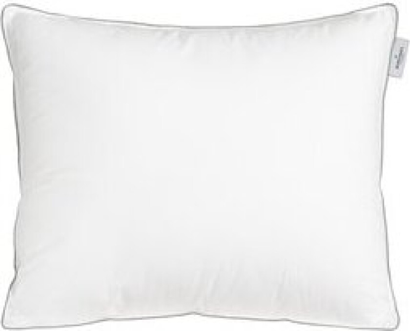Bilde av Hotellpute 325g Lav 50x60 cm