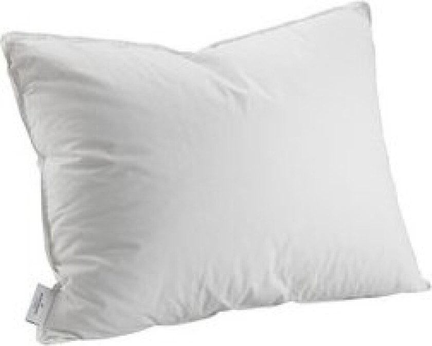 Dunpute Lav 400g 50x60 cm