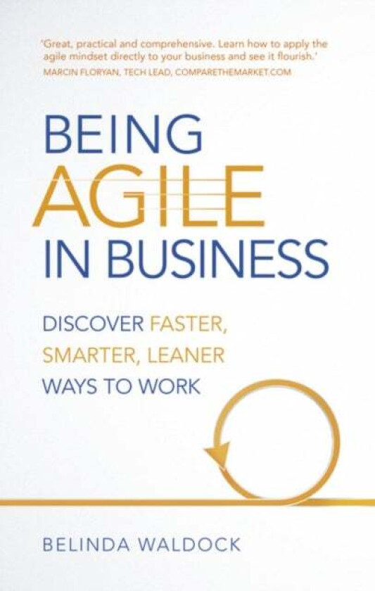 Being Agile in Business av Belinda Waldock