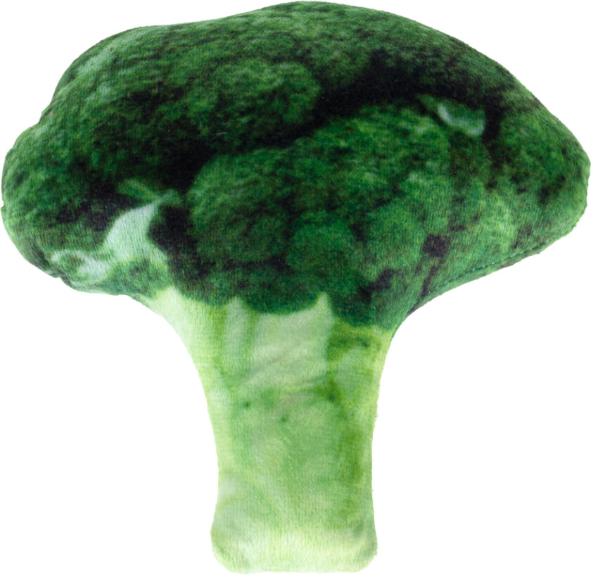hundeleke med knirkende brokkoli - L 15 x B 16 x H 6 cm