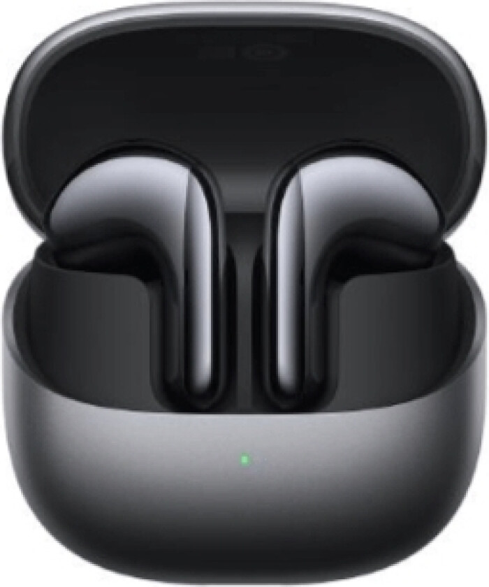 Buds 5 Graphite Black Bhr8118gl