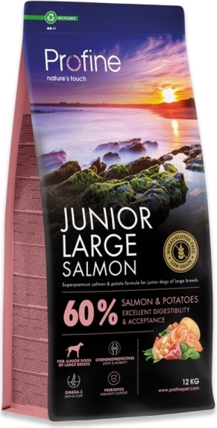 Junior Large Salmon (12 Kg)