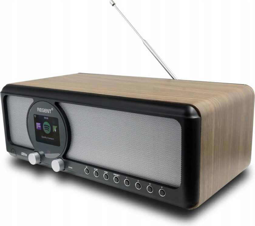 Ferguson Regent i351S Internett-radio (DAB/FM) Grå