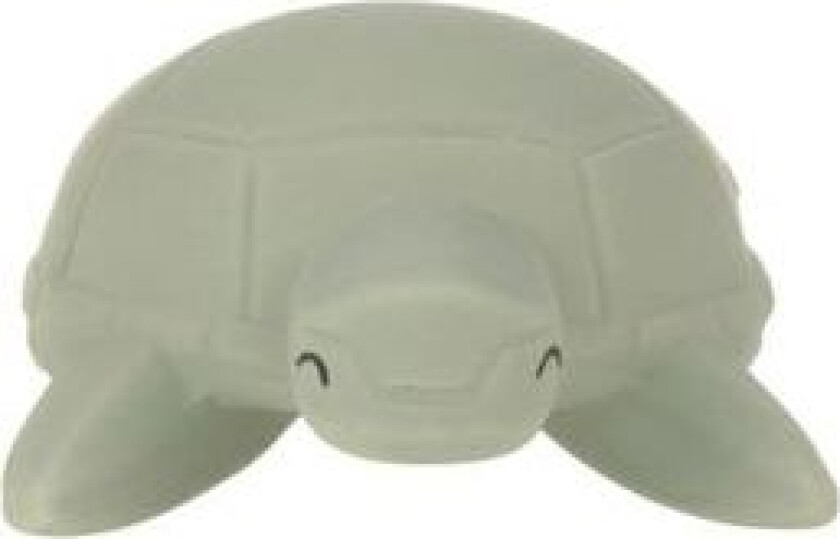 - Badeleke Turtle