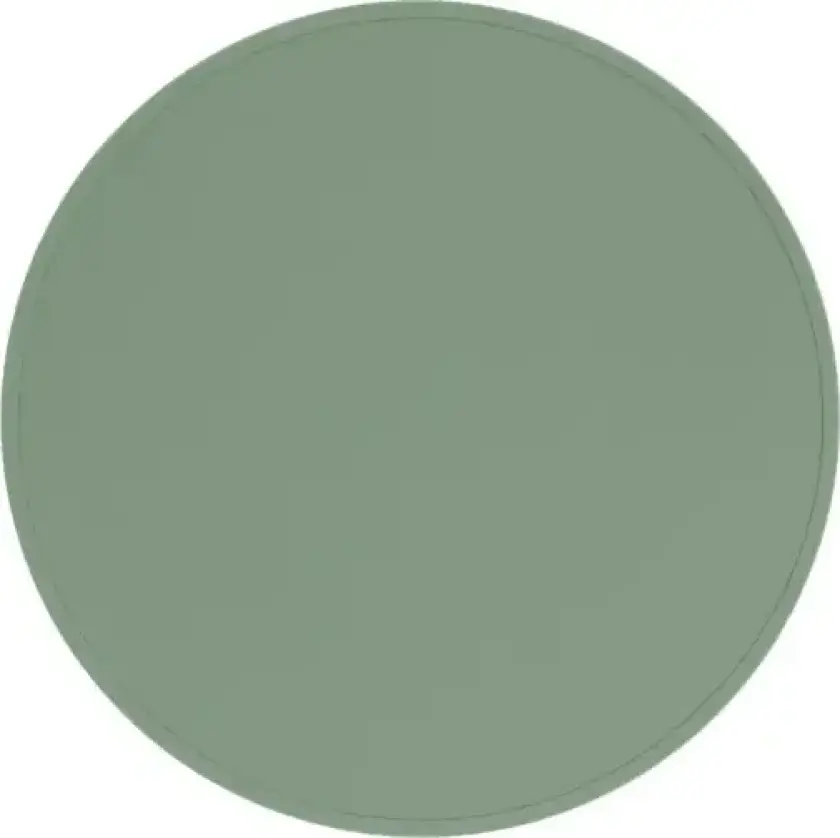 We Might Be Tiny - Bordbrikke Rund Mint