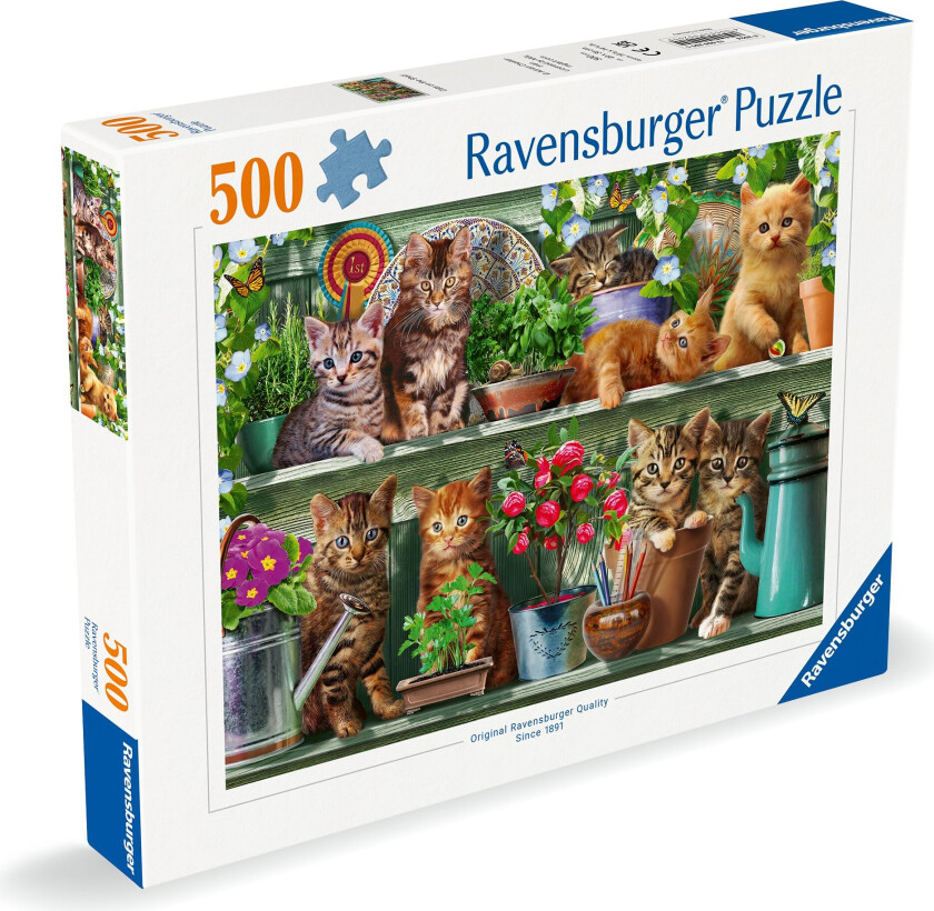 - Puzzle Cats On The Shelf 500p (12000205)