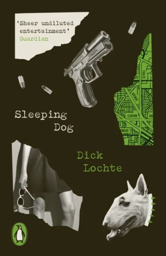 Sleeping Dog av Dick Lochte