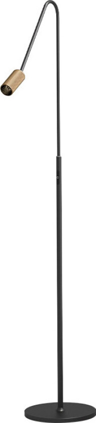 - Decor F1 LED Gulvlampe Dim. Svart/Messing