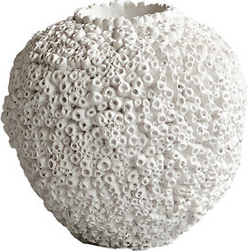 - Sunao Vase Petit Beehive