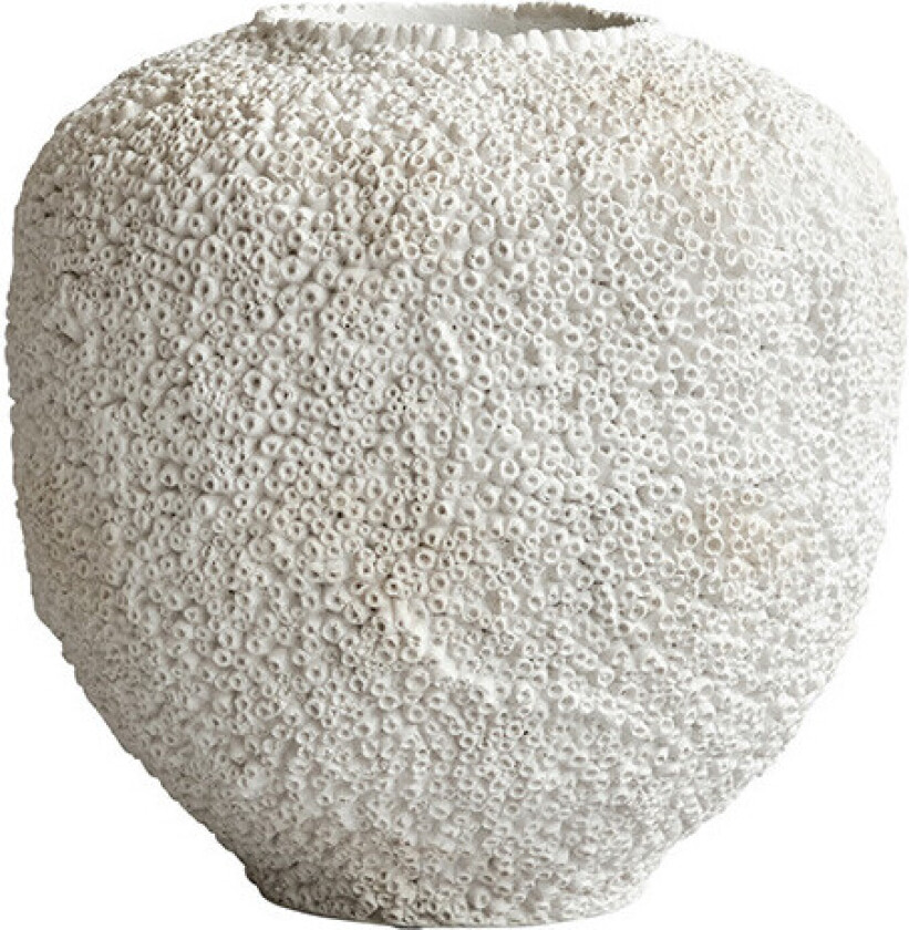 - Sunao Vase Medio Beehive