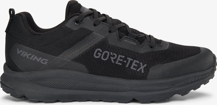 Stride Low GTX M Mens Black