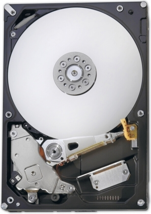 Enterprise - Harddisk - 600 Gb - Hot-Swap - 3.5" - Sas 12Gb/S - 15000 Rpm - For Primergy Rx1330 M4, Rx2520 M4, Rx2530 M4, Rx2540 M4, Tx1330 M