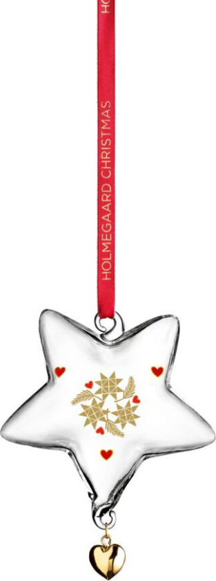 Christmas årets julestjerne 2024