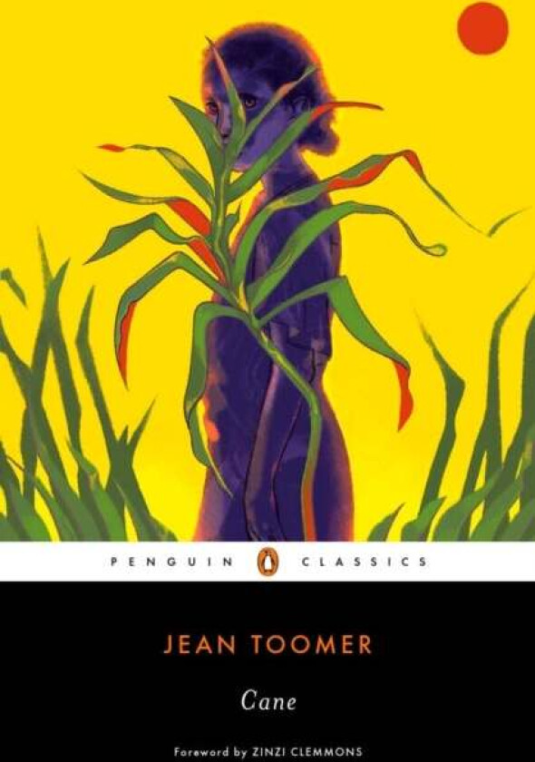 Cane av Jean Toomer
