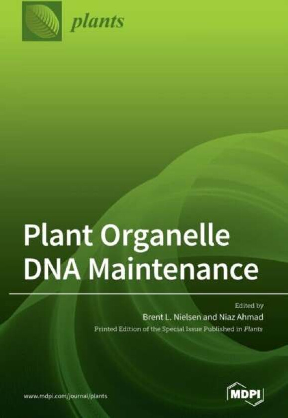 Plant Organelle DNA Maintenance