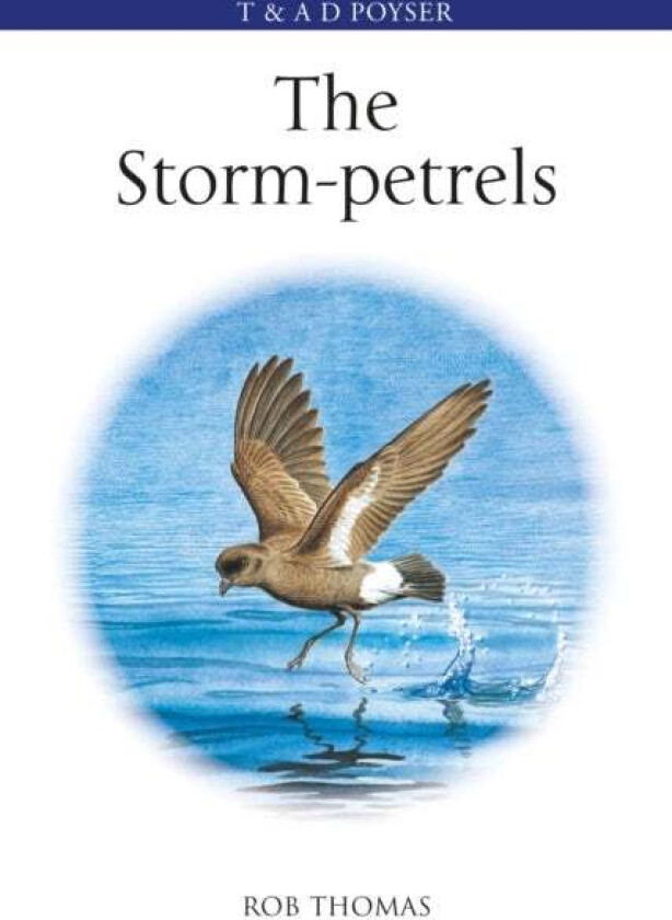 The Storm-petrels av Rob Thomas