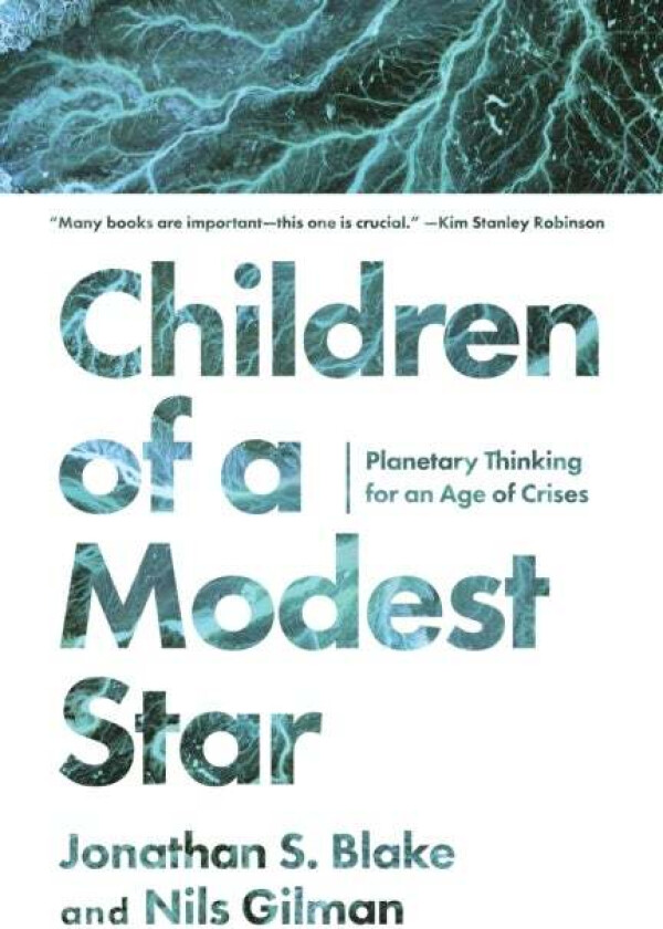 Children of a Modest Star av Jonathan S. Blake, Nils Gilman