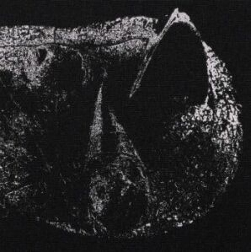 Demon Head - Viscera - Lp