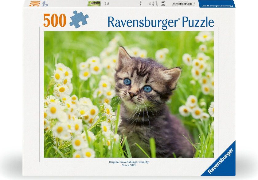- Puzzle Kitten In The Meadow 500p (12000367)