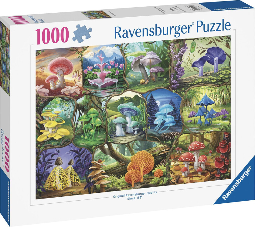 - Puzzle Beautiful Mushrooms 1000p (12000424)