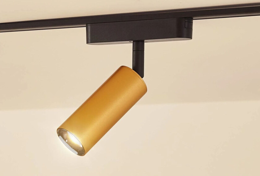 LED-spot 48 V Lumaro, gull, Ø 4 cm, aluminium