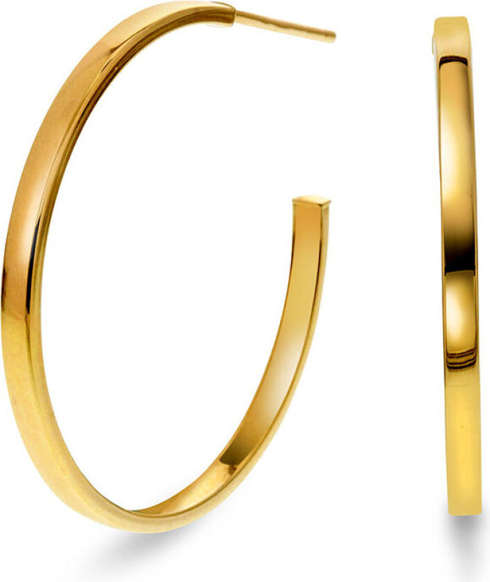, Øreringer i 585 gult gull med 25 mm i diameter.
