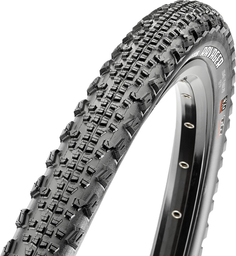 Ravager foldedekk 700 x 50c EXO TR