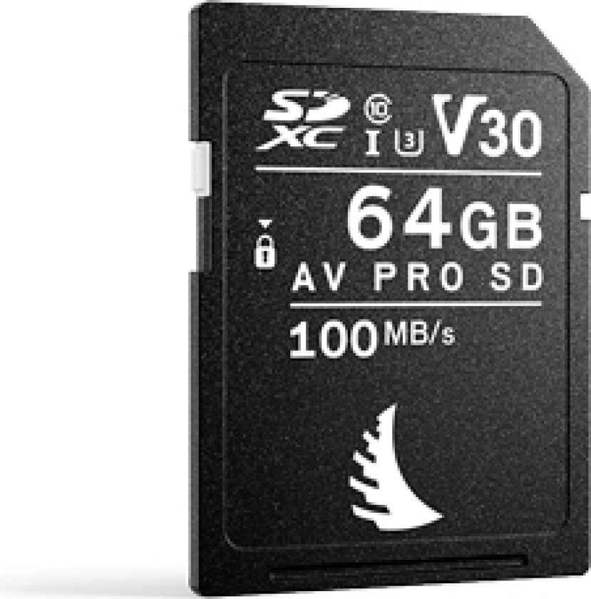 Sd-Kort Av Pro 64Gb V30
